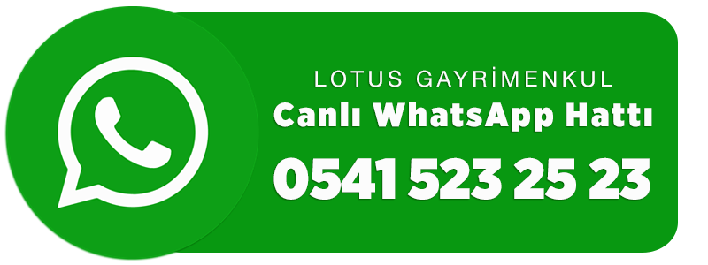 WhatsApp Destek Hattı